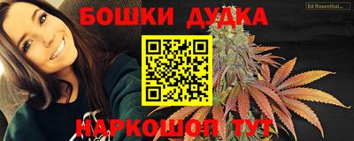 спиды Будённовск