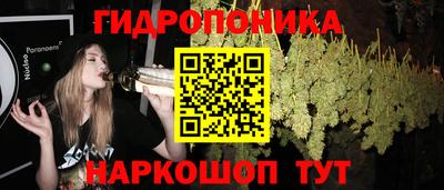 спиды Будённовск