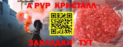 спиды Будённовск