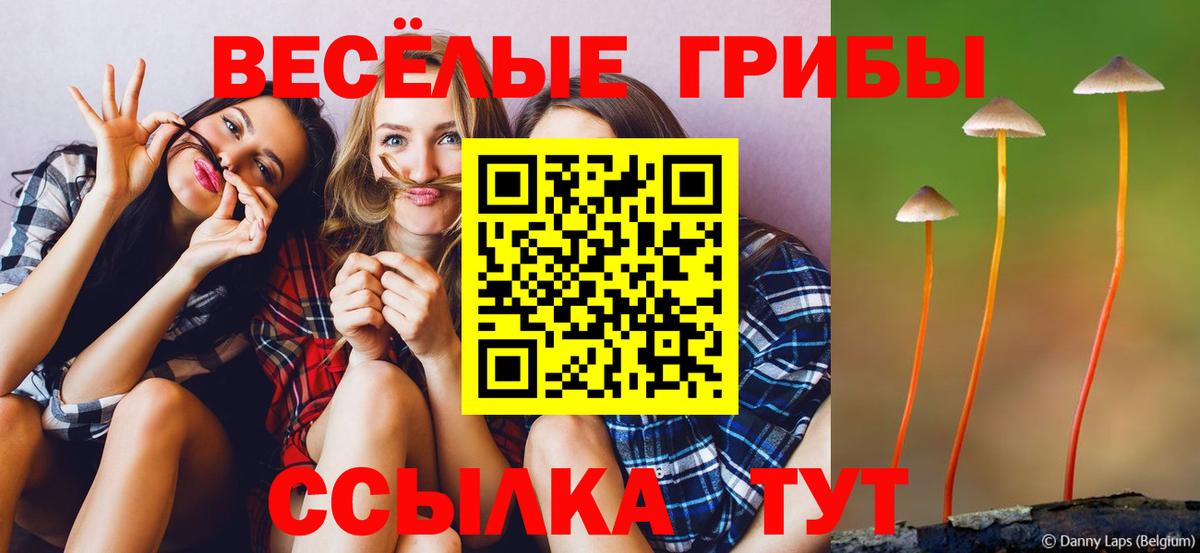 Сертолово  Псилоцибиновые грибы мицелий  Вход с VPN 